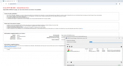 Erreur HTTP 500.1001 - Internal Server Error + RT OK.png