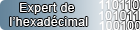 Expert de l'héxadécimal